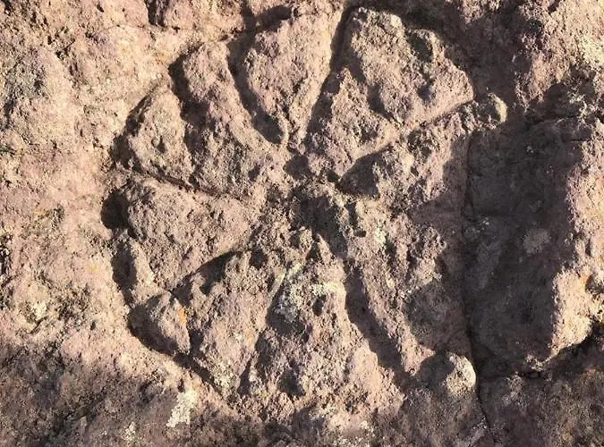 El Horno Masca * Buenavista Del Norte